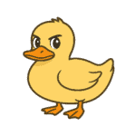 ダックス君